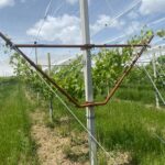 Передний рычаг Пергола