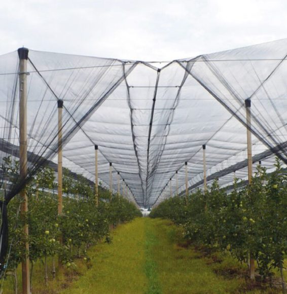 sistema-v5-2-01-1024x686