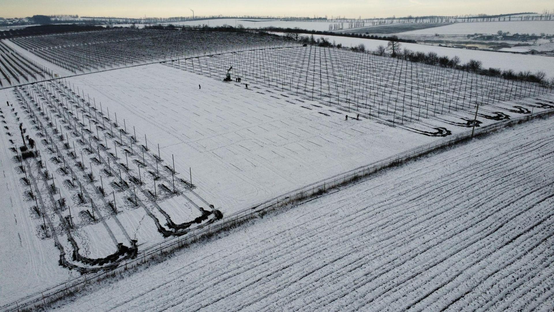 7b611b1f-fd59-45c8-957f-13df473d6b84