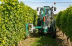 CLEMENS LEAF REMOVER - Image 2