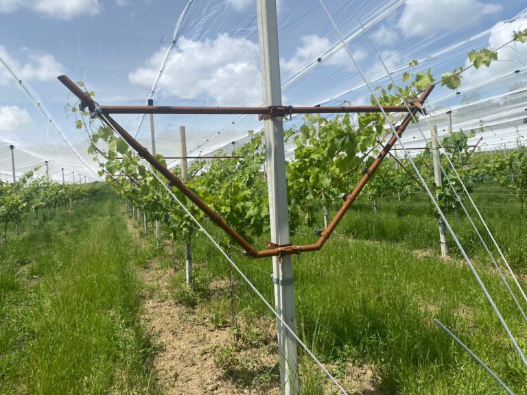 Braț frontal pergola